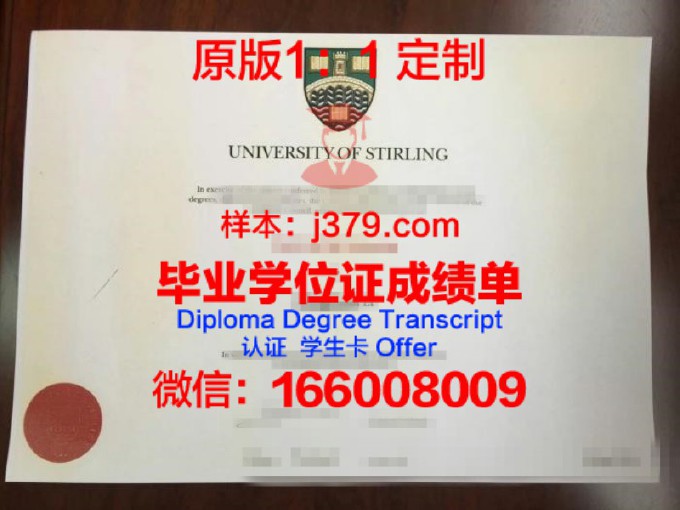 曼苏拉大学diploma证书(拉曼大学要求)