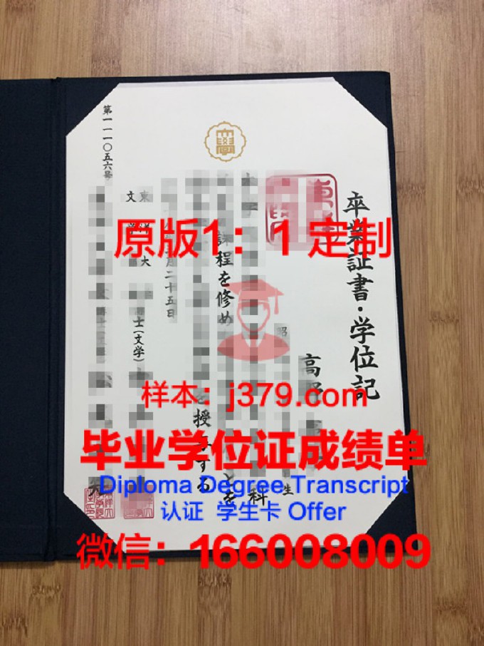 东洋未来大学毕业证书图片模板(东洋未来大学毕业证书图片模板高清)