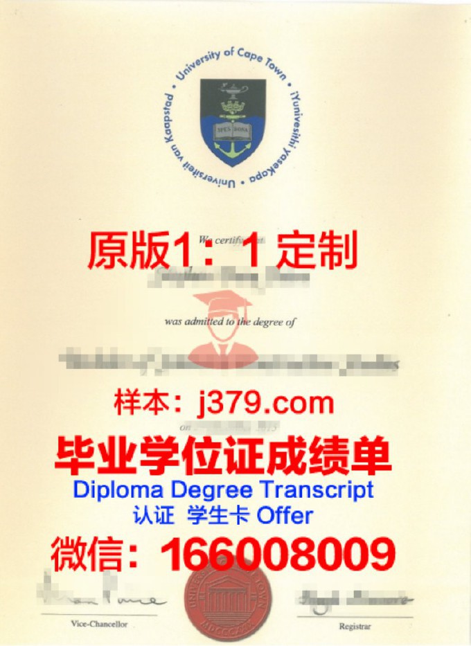 南非开普敦大学diploma证书(南非开普敦讲什么语言)