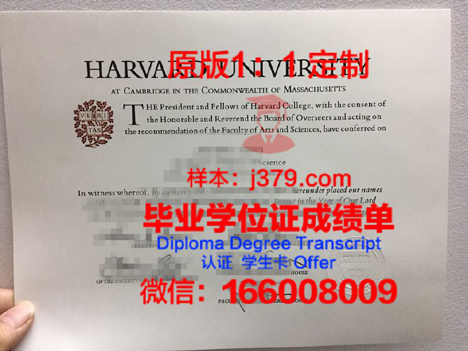 英国大学只有毕业证没有档案(英国大学只有毕业证没有档案吗)