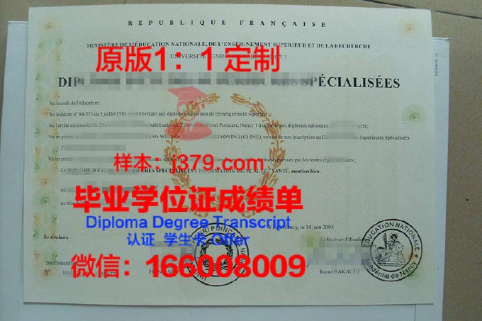 南锡国立高等建筑学院diploma证书(南锡国立高等艺术与设计学院)