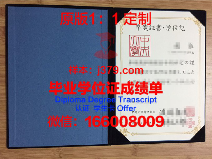 共和国中央大学diploma证书(中央大学cplus)