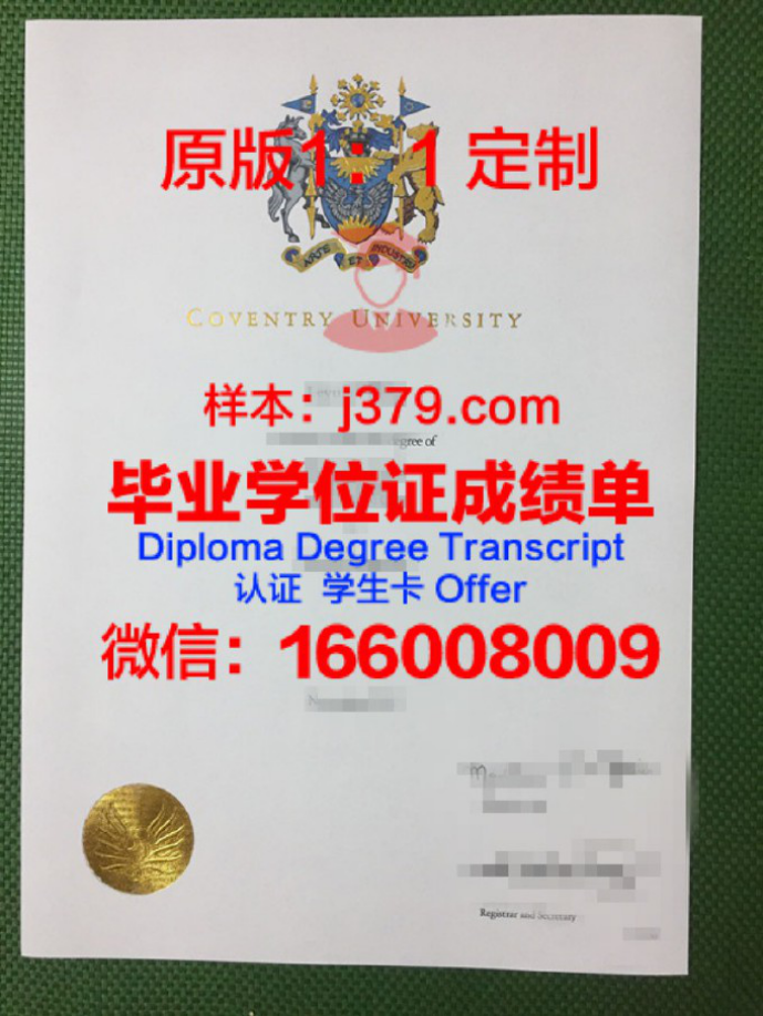 阿德尔菲大学录取通知书 OFFER 定制：开启人生新篇章的钥匙