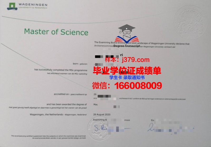 佩贾本科毕业证：承载知识与荣誉的证书