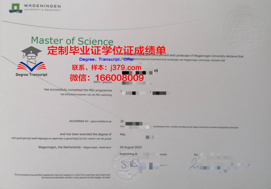 伊科大硕士证书在求职市场中的价值