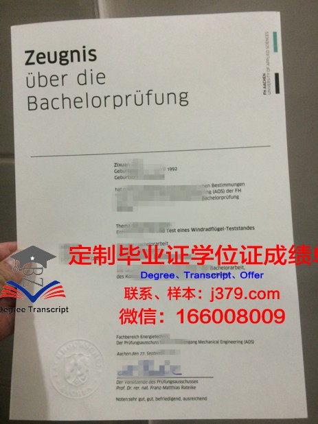 亚琛工大毕业证书模板展示