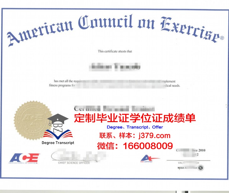 佩拉大成绩单:见证一个时代的辉煌