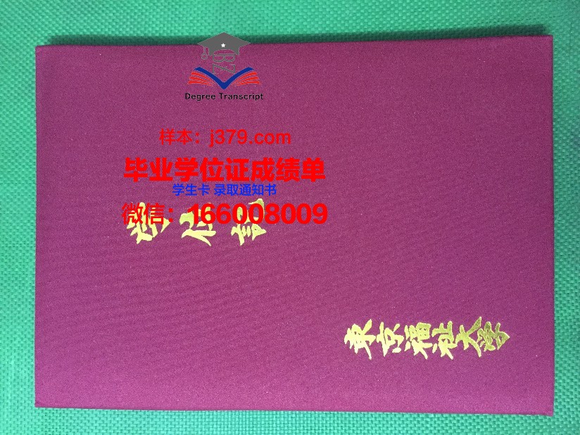 首都大学东京毕业证电子版