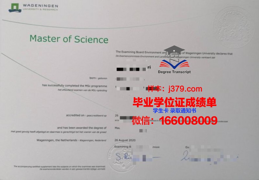 毕业证书上的十字星：研究生荣誉的见证