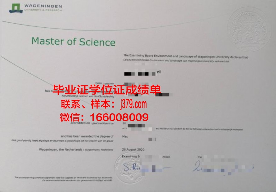 全南大毕业证图片：经典版与新版对比