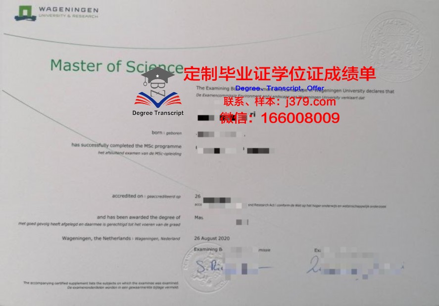 巴高路桥毕业证补办流程详解
