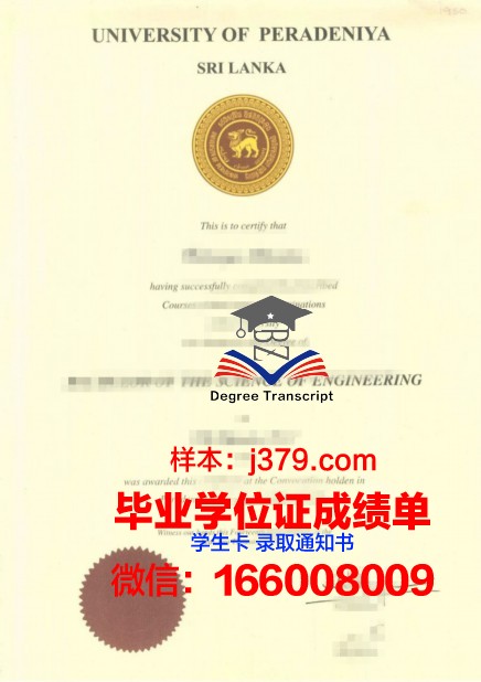 梅南德斯·佩拉尤国际大学学历证书
