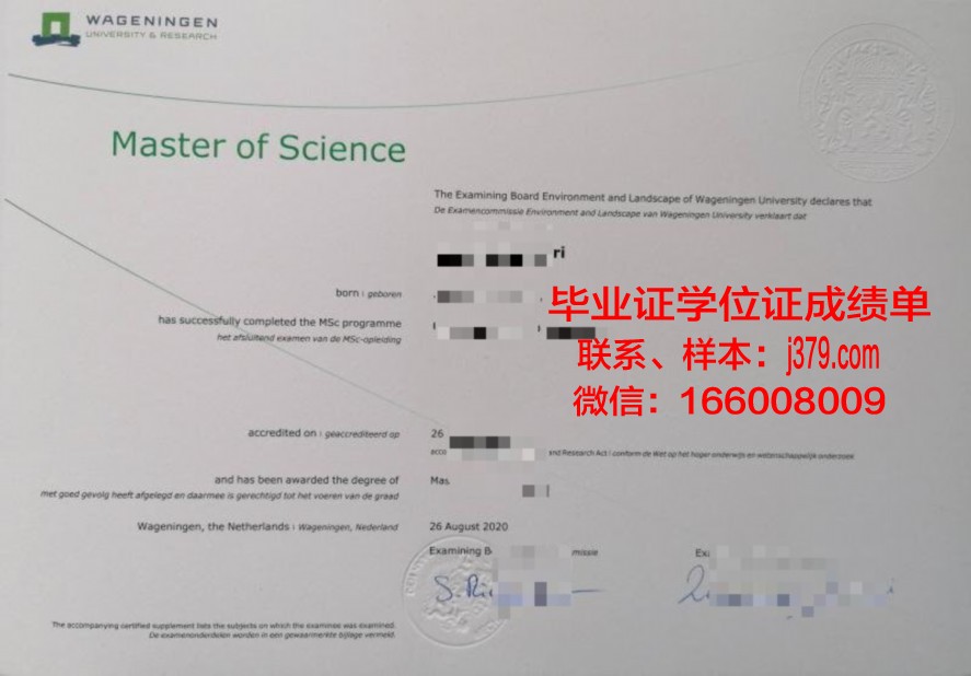 匹大本科毕业证:毕业生的荣誉象征