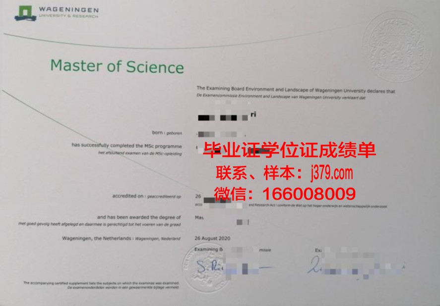 毕业证丢失怎么办?莫森毕业证补办全攻略