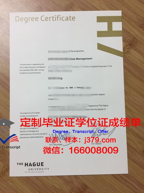 海牙艺术学院毕业证书样貌展示