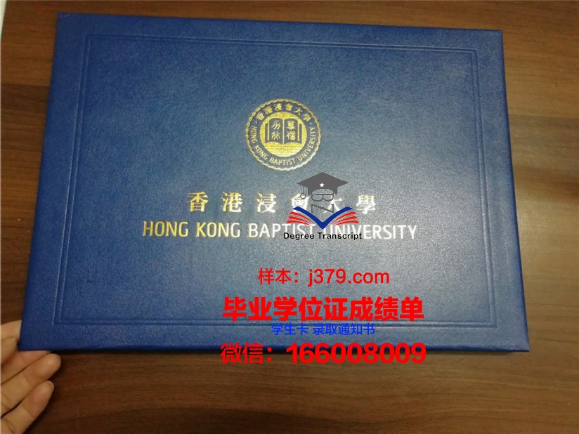 萨尔州大学毕业证壳子使用注意事项