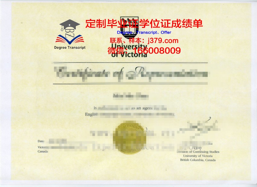 明尼毕业证书样本：毕业生的荣耀见证