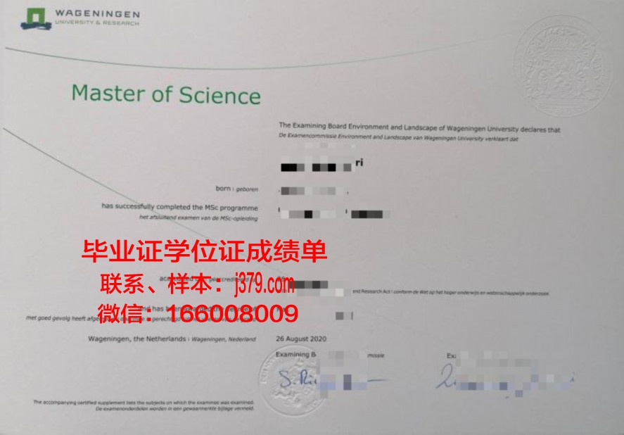 蔚大毕业证保护壳