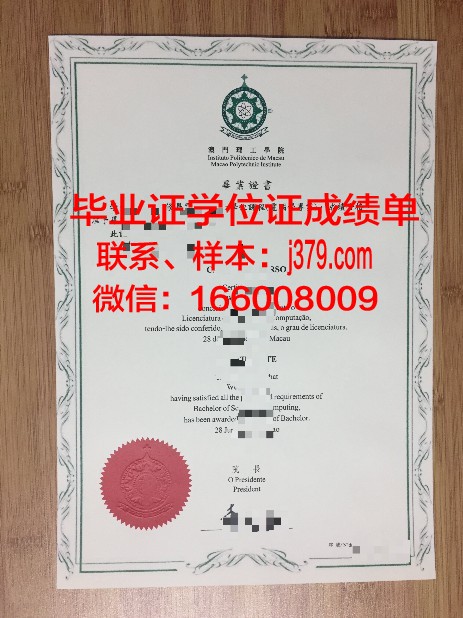 巴查大毕业证成绩单在线查询攻略