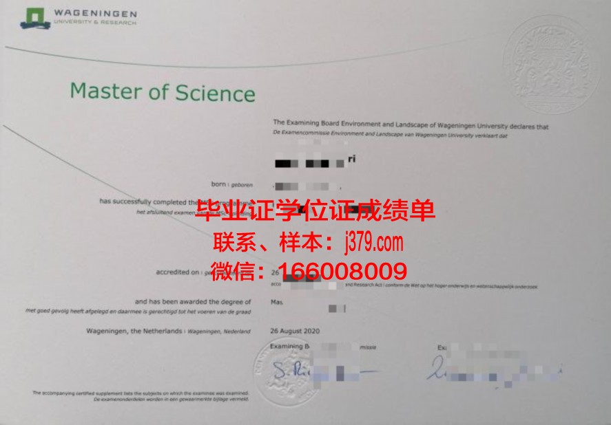 城市大学本科毕业证就业竞争力解读