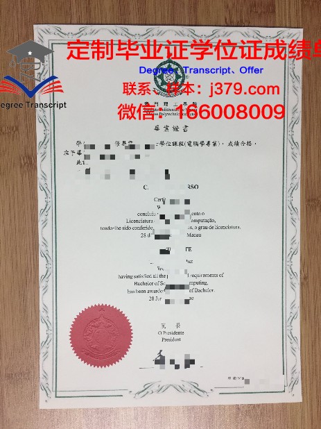 历年巴查大毕业证图片回顾