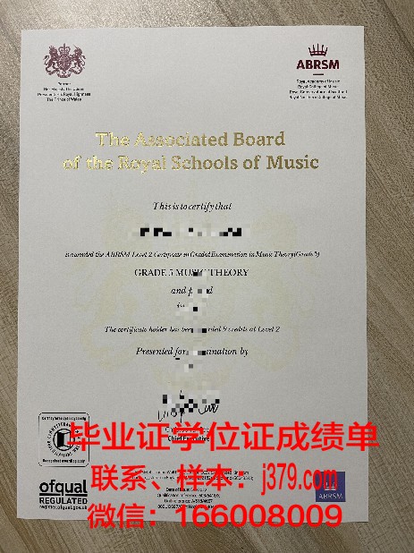 工业系统工程专业毕业证书外套