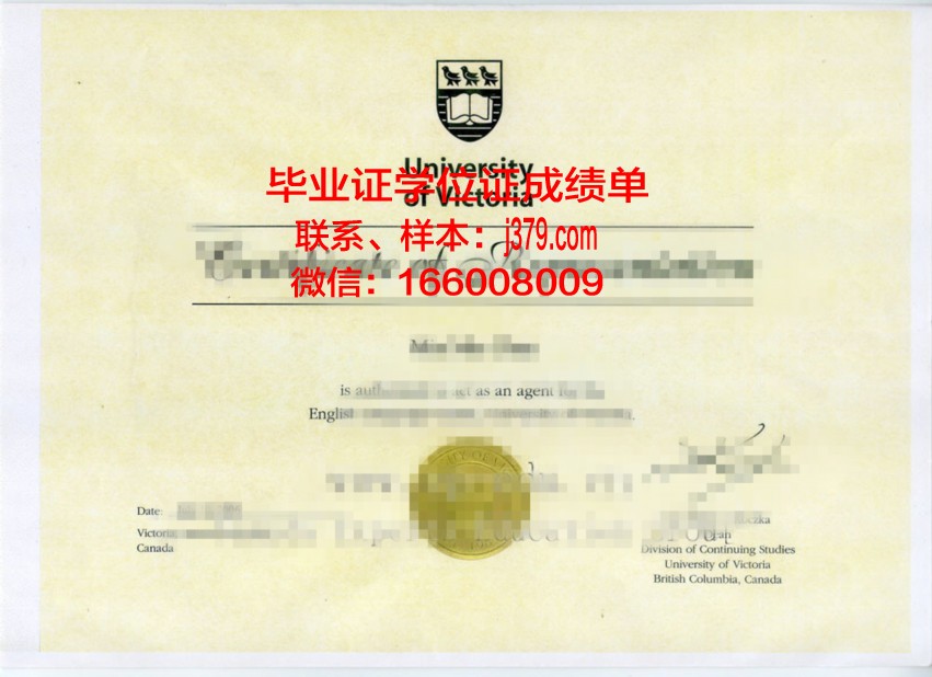 贝尔格莱德足球学院毕业证书样本展示