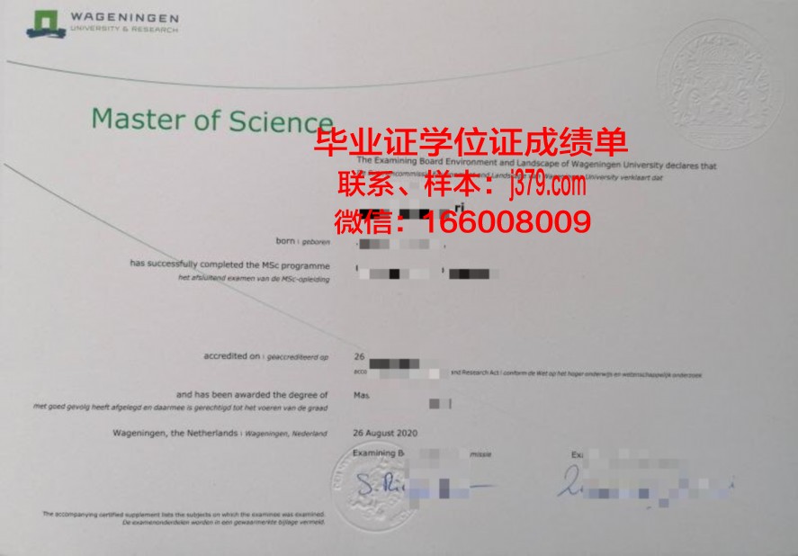 阳大毕业证:传统与现代的完美融合
