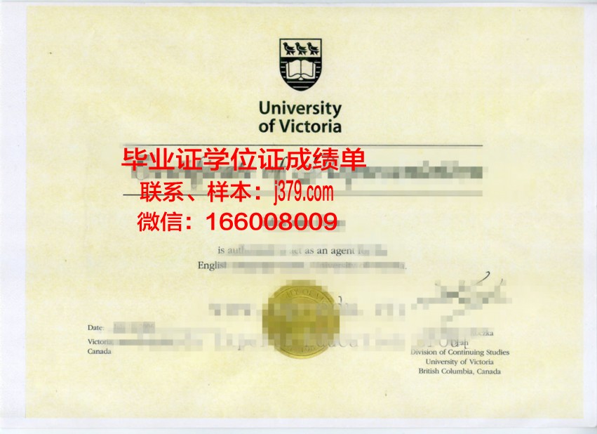 TIT学院毕业证书样本展示