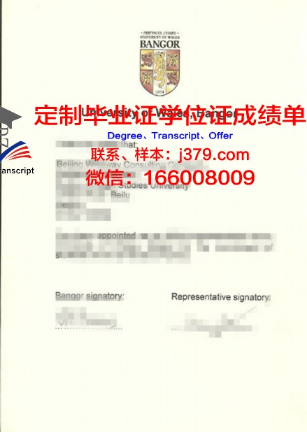 班戈博士毕业证：成就人生辉煌的里程碑