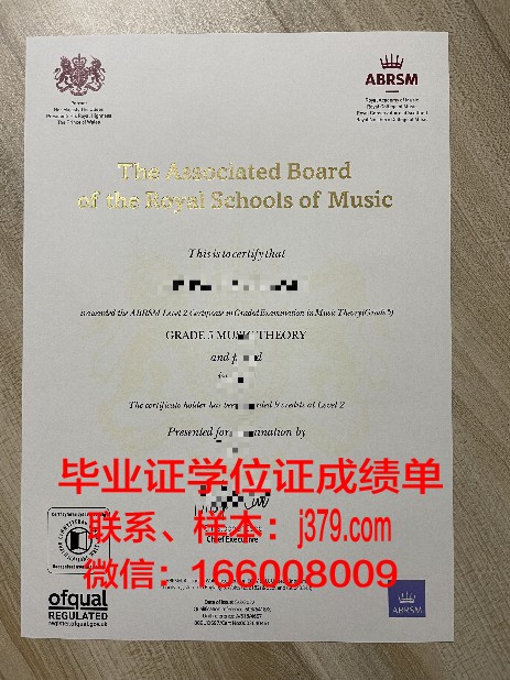 NVD毕业证书保护套