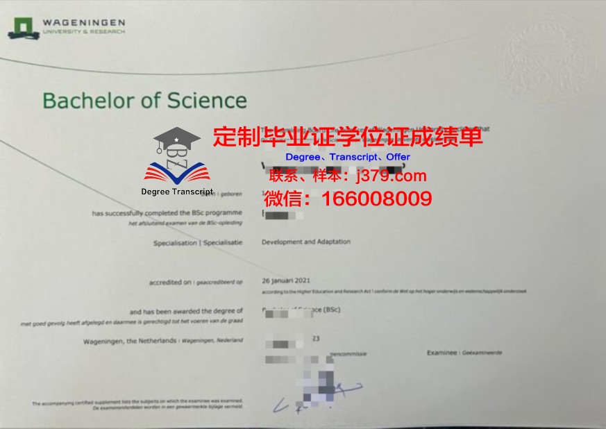 世大本科证书:专业设置与课程体系解读