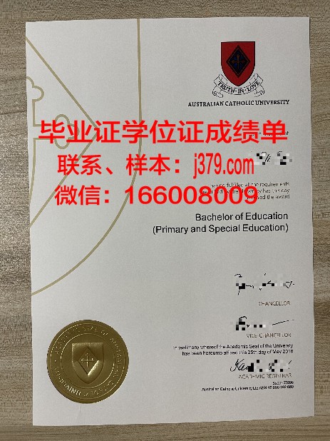 秘鲁天主教大学文凭图像一览