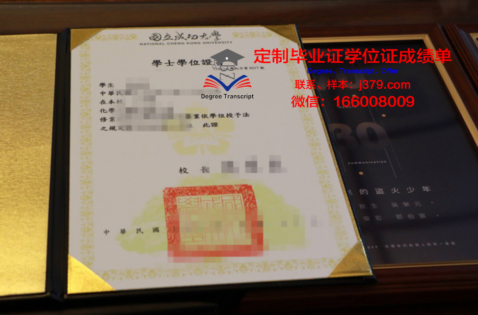成功大学成绩单:优秀学子们的共同特质