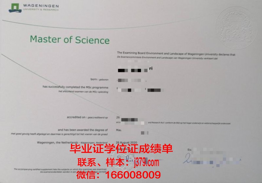 马拉达伦大学毕业证diploma
