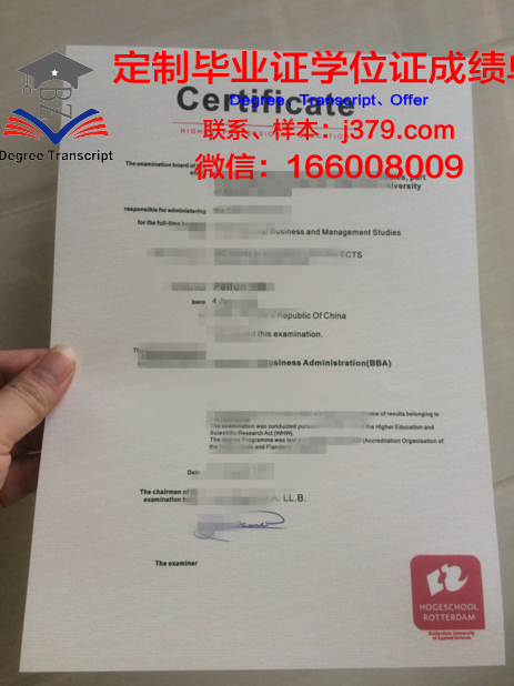 鹿特丹伊拉斯姆斯大学毕业证电子版