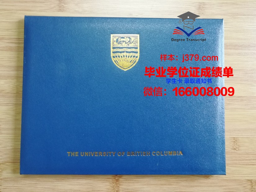 埃因霍温大毕业证壳子:高品质毕业礼物推荐