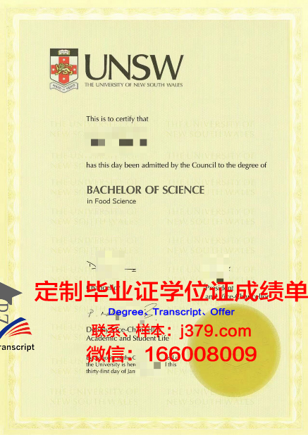 伍工毕业证书电子版使用指南