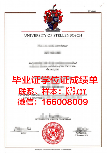 斯泰毕业证书样式一览