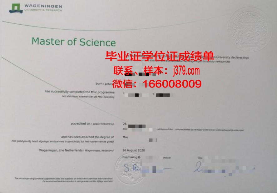 迪尤肯大学 diploma 毕业证