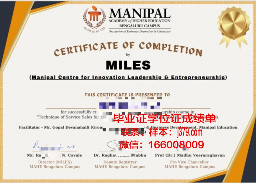 塔马尼毕业证:校友评价与就业案例分析