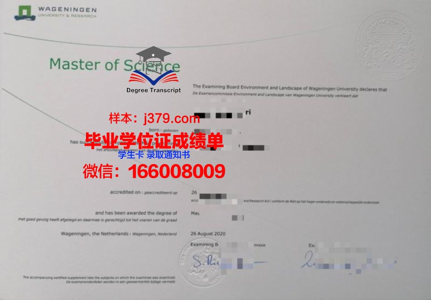 但丁大学中心的毕业证啥样(但丁的母校)