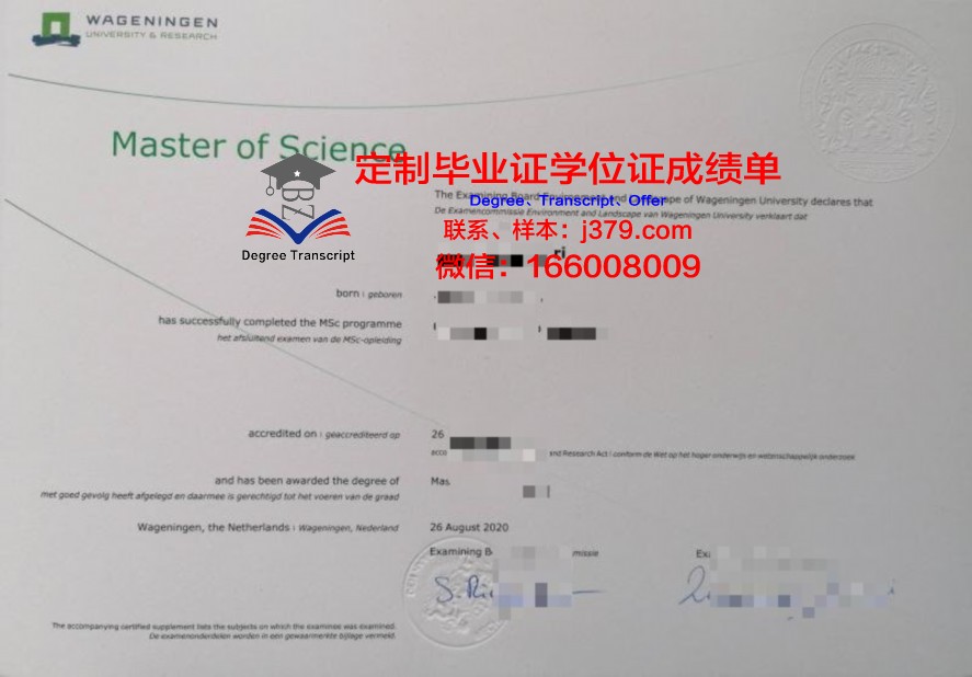 阪市大毕业证图片完整版分享