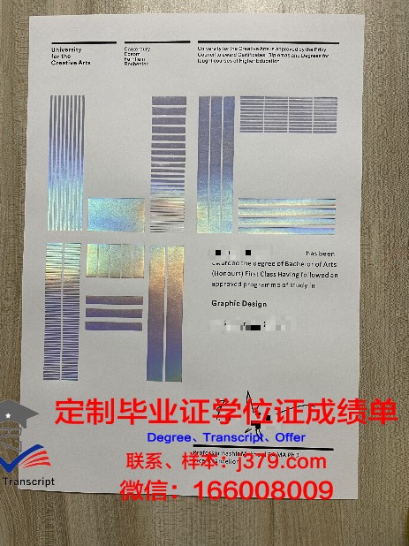 创意艺术大学毕业文凭