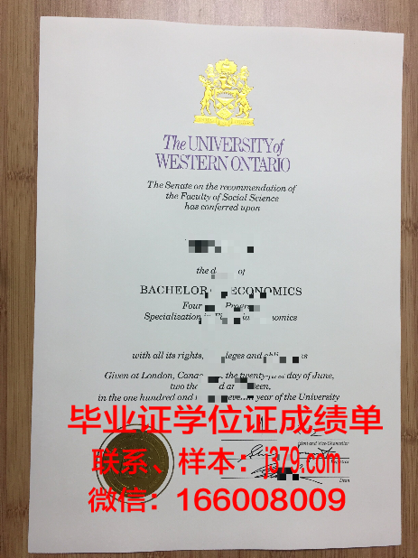 西安略大毕业证保护套
