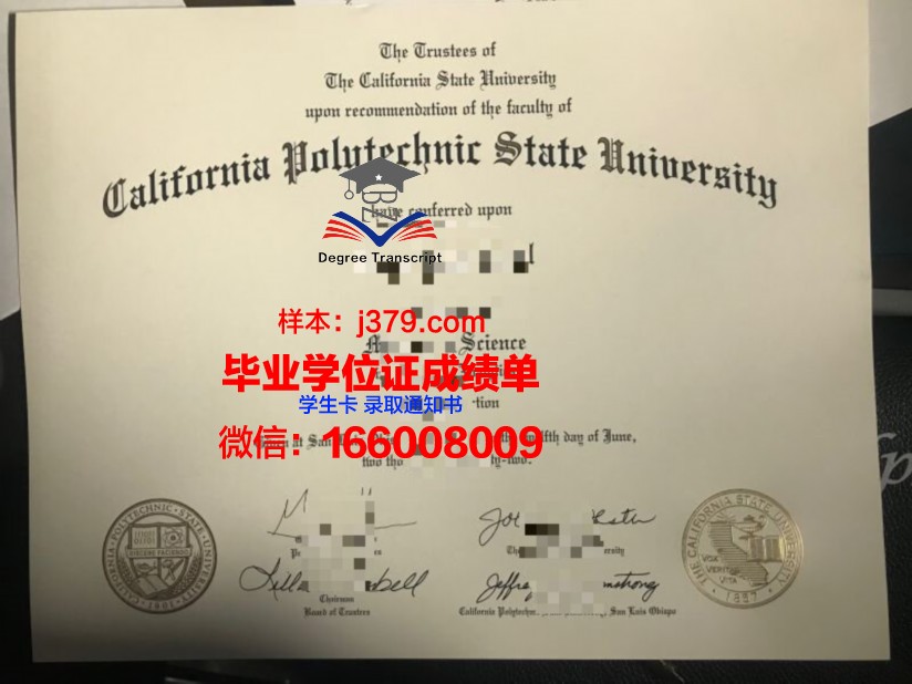 塔理工本科阶段毕业资格证书