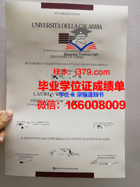 卡拉大本科毕业证:专业设置与课程体系介绍
