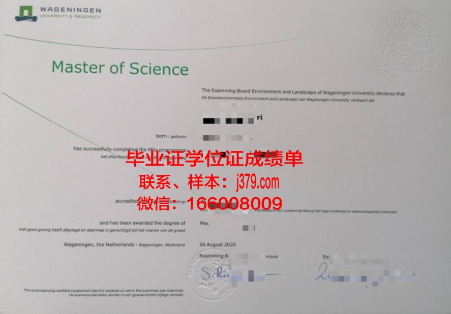 萧尔大学毕业证图片