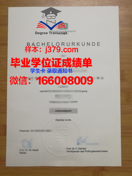 开姆尼茨工业大学研究生学位证书颁发