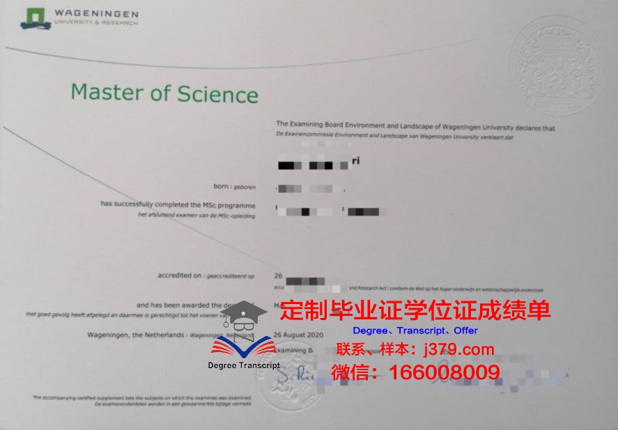 毕业证丢失别慌，医科大补办攻略
